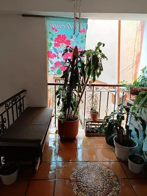 a room with plants and a bench on a balcony at Apartamento Wiphala, Vista Panorámica in Jericó