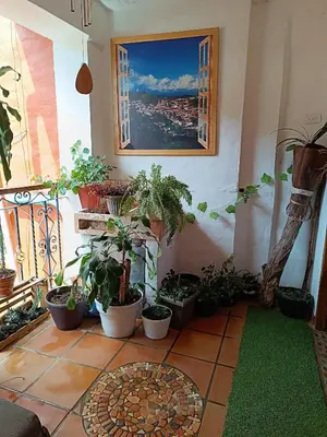 a room with a bunch of potted plants on a balcony at Apartamento Wiphala, Vista Panorámica in Jericó