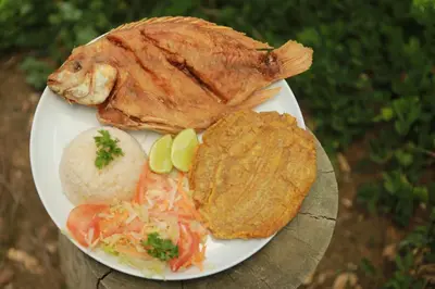 a plate of food with a fish and other foods at Ecohotel Campo Alegre Norcasia Caldas in Norcasia