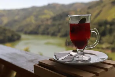 a glass of tea on a plate with a view of a river at Ecohotel Campo Alegre Norcasia Caldas in Norcasia