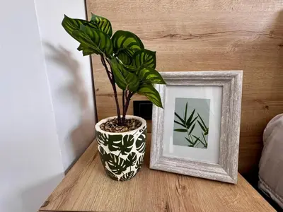 a plant in a vase sitting next to a picture frame at Apartamentos de lujos para descansar Oasis in San Jerónimo