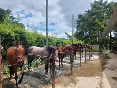 Gallery image of Hotel Campestre Refugio Ecuestre Rionegro in La Ceja