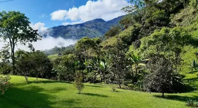 a green field with trees and mountains in the background at Casa Finca Madrid Mazzitelli in Támesis
