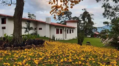 a house with a field of flowers in front of it at Casa Finca Madrid Mazzitelli in Támesis
