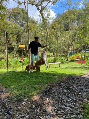 Gallery image of Chapola Home in Guarne