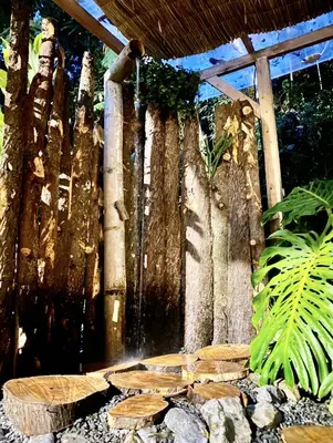 Gallery image of Chapola Home in Guarne