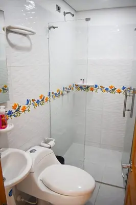 a bathroom with a shower and a toilet and a sink at Cómodo apartament tipo loft en El Peñol in El Peñol