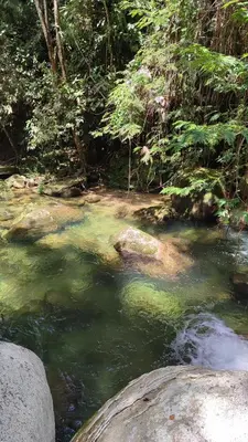 a stream of water with rocks in a forest at Maracuya Hostel in San Rafael