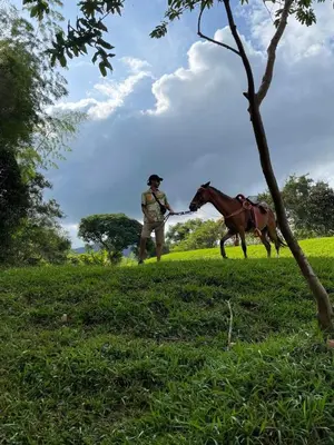 a man walking a horse in a field at Maracuya Hostel in San Rafael