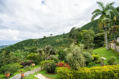 a view of a hill with flowers and trees at Hotel Monteverde Campestre in Concordia
