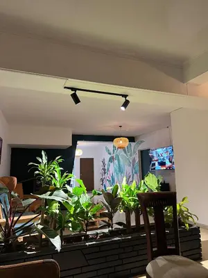 a living room with plants on a table at Laureles Garden Hostel in Medellín