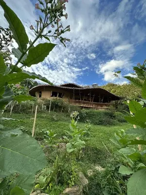 a small house with a thatched roof on a field at Mandi Wasi - Alojamiento Compartido in San Rafael