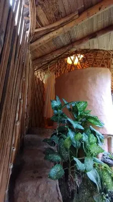 a plant in a room with a wooden ceiling at Mandi Wasi - Alojamiento Compartido in San Rafael