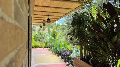 an indoor garden with plants and a patio at Autenthico Sajonia Hotel Aeropuerto in Rionegro