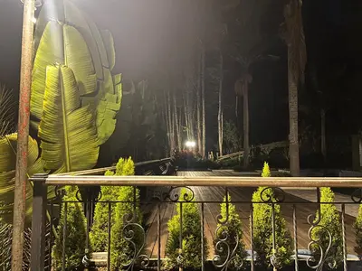 a fence in front of a forest at night at Autenthico Sajonia Hotel Aeropuerto in Rionegro