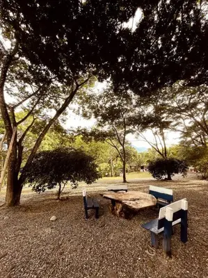 a picnic table and benches under a tree at Paraiso del Cauca in Jericó