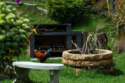 a chicken standing in the grass next to a fireplace at Green mount in Medellín