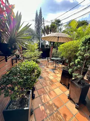 a patio with plants and a table and an umbrella at Colonial Charm House in Medellín