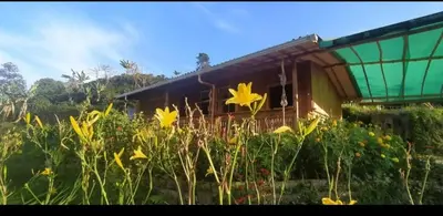 a house with yellow flowers in front of it at Cabañas Lucerito Turpial in Jardin