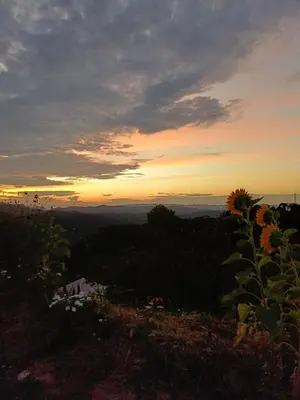 a sunflower on a hill with a sunset in the background at Cabaña la Antiguita in San Luis