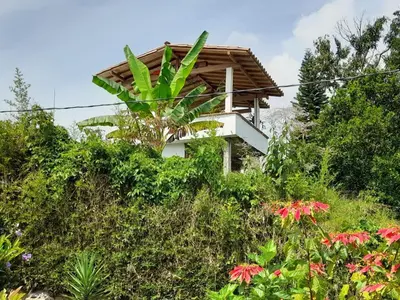 a house on a hill with plants and flowers at Casa Finca Minas in Estación Angelópolis
