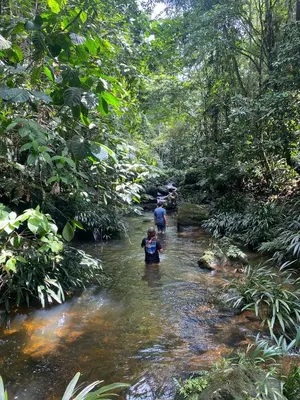 two people walking through a stream in the jungle at Montés Samaná in San Carlos