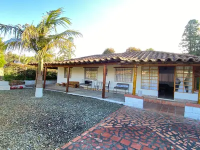 a house with a palm tree and a brick driveway at Villa Ligia in Medellín