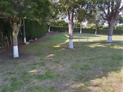 a park with trees and a bench in the grass at Villa Ligia in Medellín