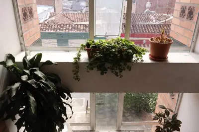 a window sill with two potted plants on it at Living Poblado Manila 3020 Habitación Doble in Medellín