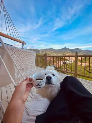a person holding a cup of coffee in front of a dog at Casa Fénix in Marinilla