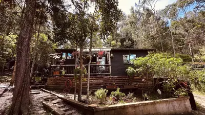 a small house in the middle of a forest at Casa Tikkun in Medellín
