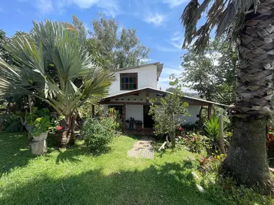 a house with a palm tree in the yard at Encanto Verde in Rionegro