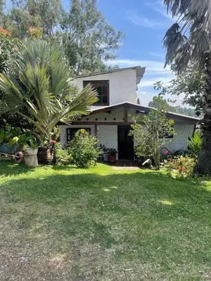 a house with a palm tree in the yard at Encanto Verde in Rionegro