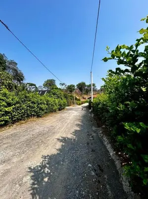 a dirt road with bushes on the side of the road at Finca cerca a Medellín Villa Cerat in Sopetran