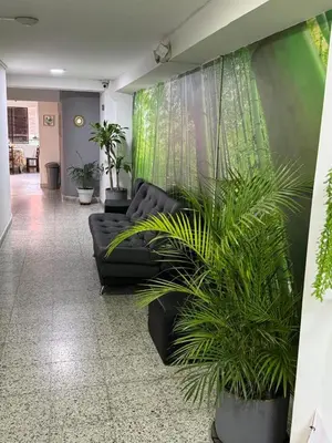 a living room with a black couch and some plants at Hotel JC 43 in Medellín