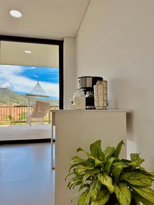 a kitchen with a plant on a counter with a view at Fénix in Marinilla