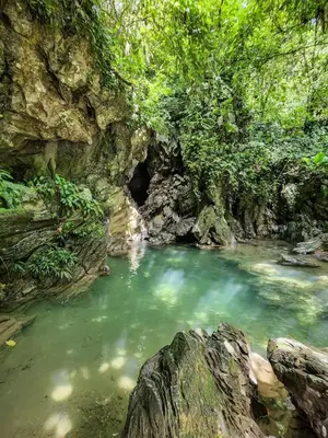 a pool of water in a river in the jungle at Hotel FENIX in Doradal