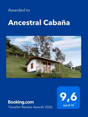 a screenshot of an advert for an australian cabin at Ancestral Cabaña in San Vicente