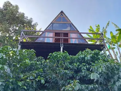 a tree house sitting on top of a bush at Cabaña en Jericó in Jericó