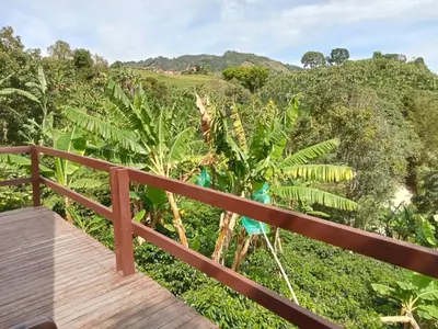 a wooden walkway with a view of a forest at Cabaña en Jericó in Jericó