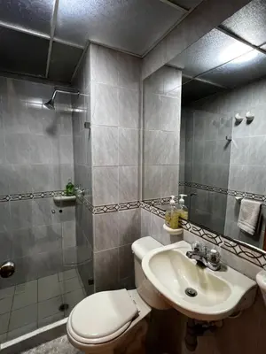 a bathroom with a toilet and a sink and a shower at Apartaloft in Sabaneta