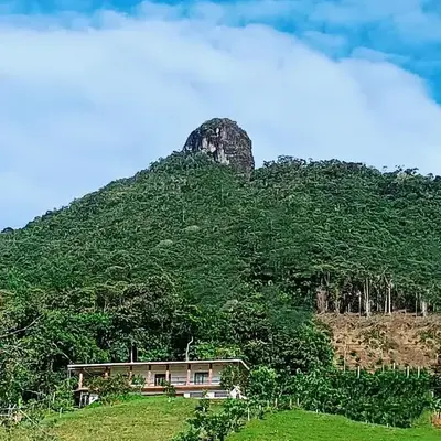 Bosque Místico