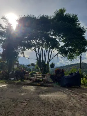 Gallery image of Magnof in Guatapé