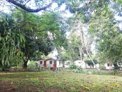 a tree that has fallen in front of a house at Finca Hotel La Estancia Santa Fe in Santa Fe de Antioquia