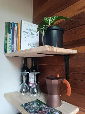 a wooden shelf with a potted plant and books at Cabaña Momotus II in Concepción