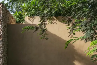 a wall with a tree hanging over it at Arde La Selva in Santa Fe de Antioquia