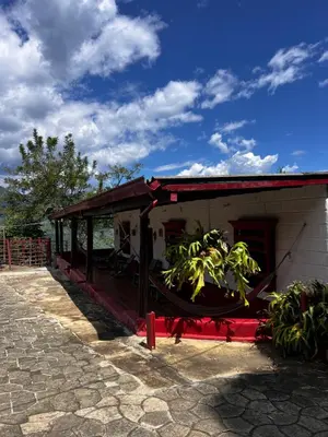 Gallery image of Finca la frondosa - La frondosa farm in Angelópolis