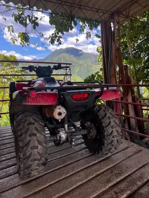 Gallery image of Finca la frondosa - La frondosa farm in Angelópolis