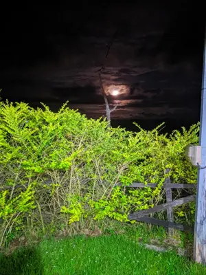 a moon over a fence in a field at night at Finca el Eden in San Luis