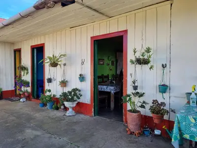 a house with potted plants on the side of it at Finca La Carolina in Palocabildo